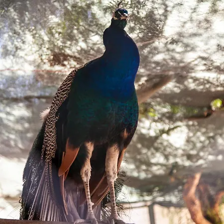 Crystal Bodrum ホテル