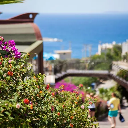 Crystal Bodrum