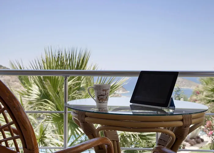 Crystal Bodrum 4* 古穆斯卢克